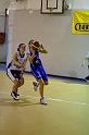 Basket 252050